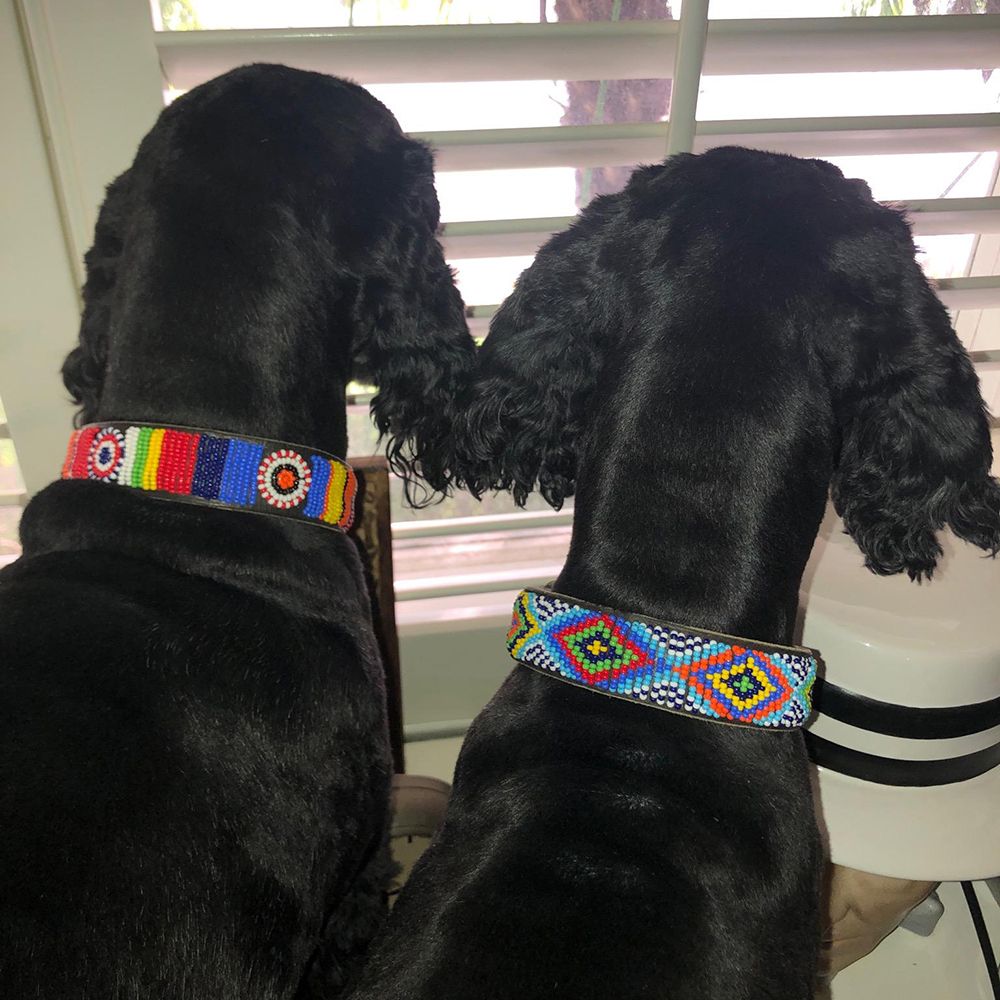 Circle Stripe Dog Collar Dog Collars