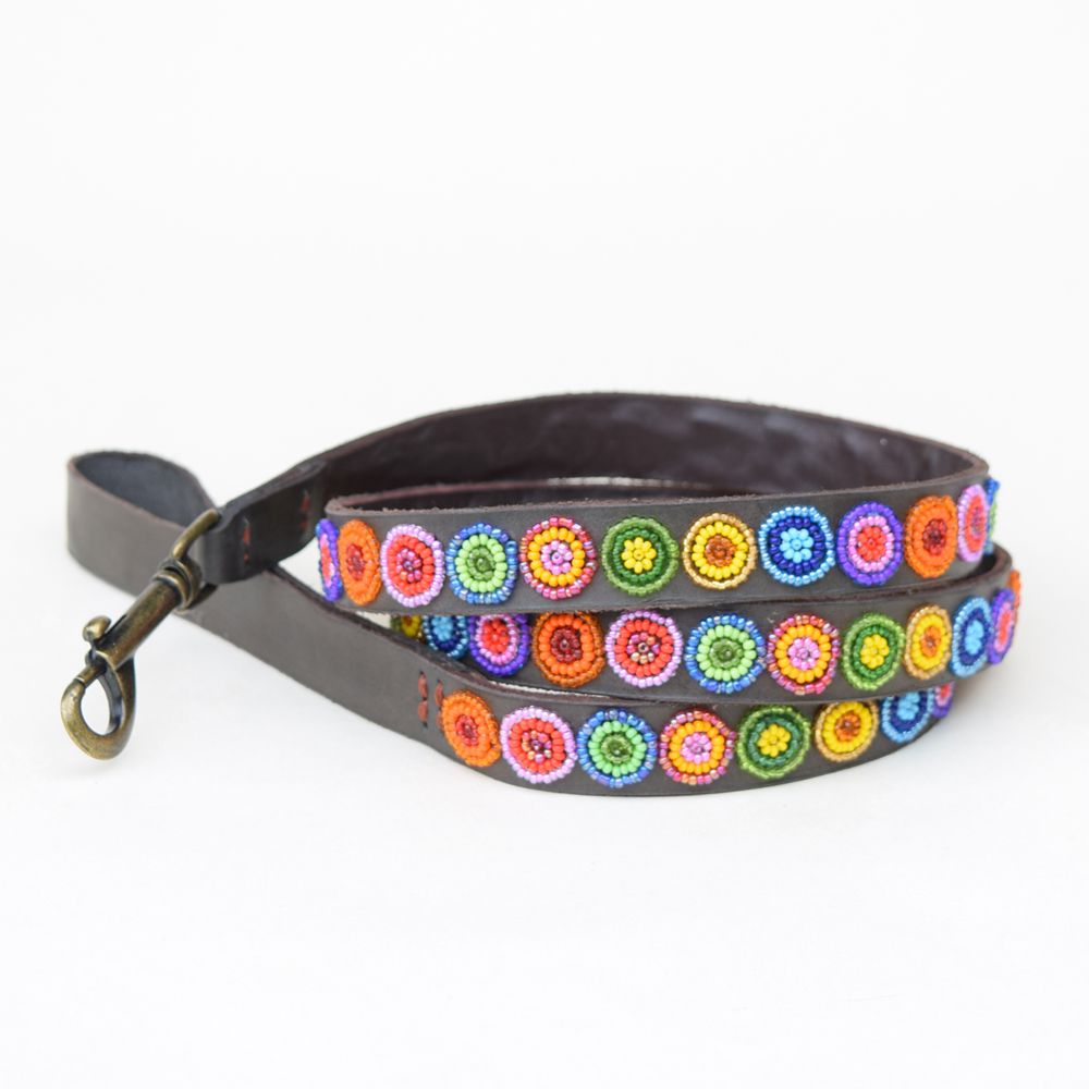 Circle Shine Dog Collar Dog Collars