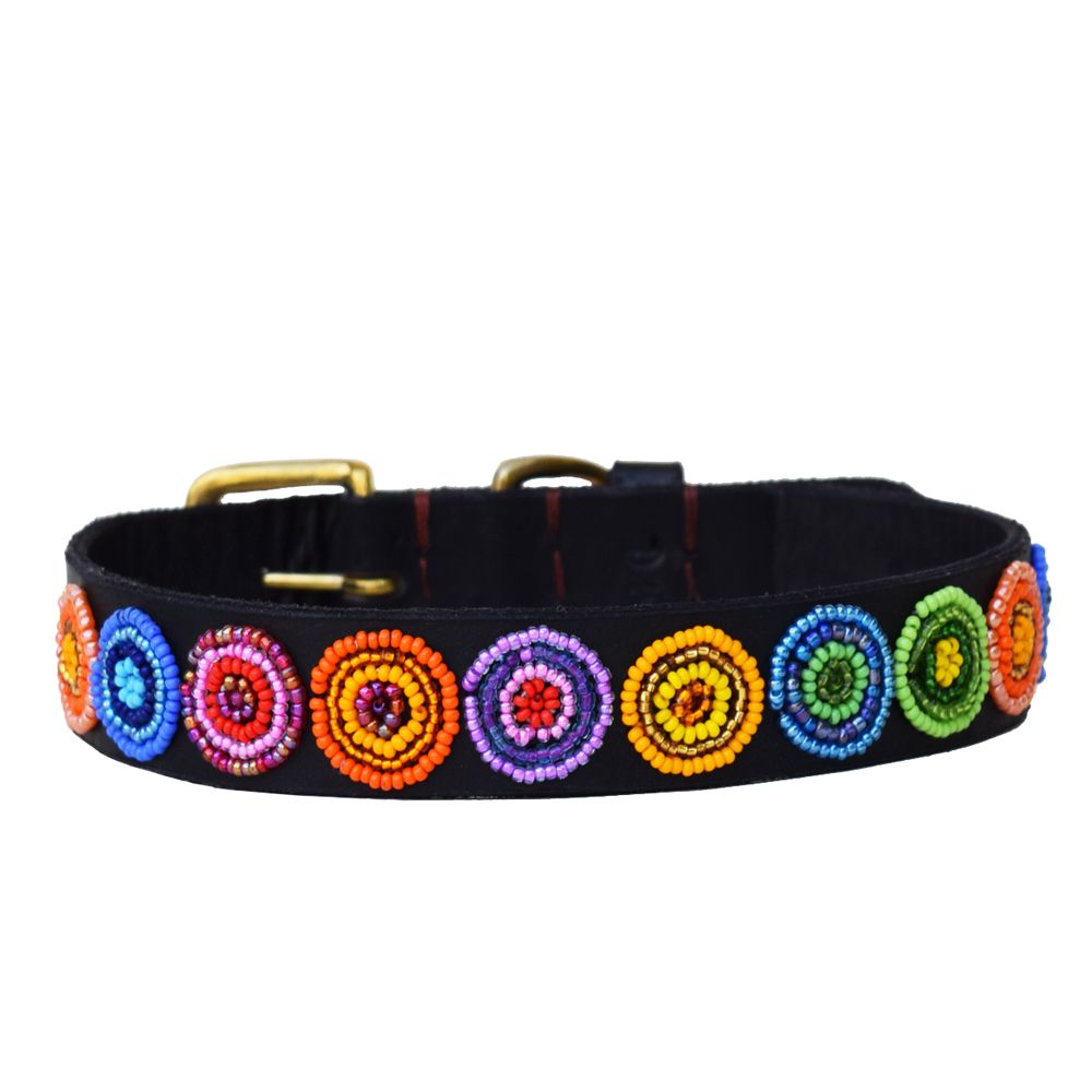 Circle Shine Dog Collar Dog Collars